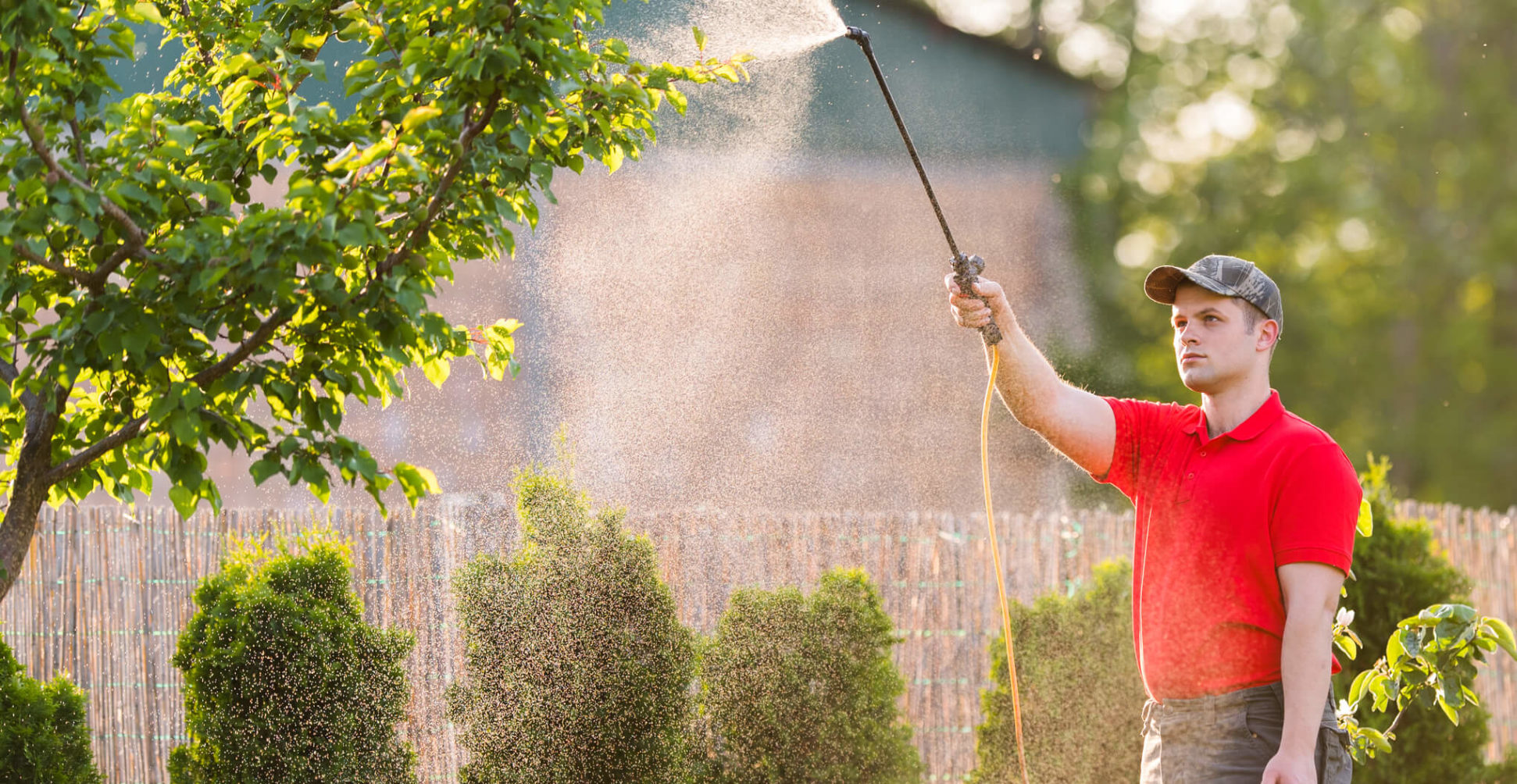$10.5 billion Monsanto Settlements in the US – Monsanto cancer Roundup case