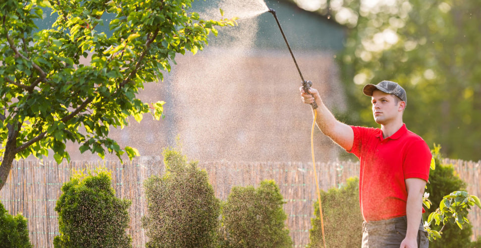 $10.5 billion Monsanto Settlements in the US – Monsanto cancer Roundup case