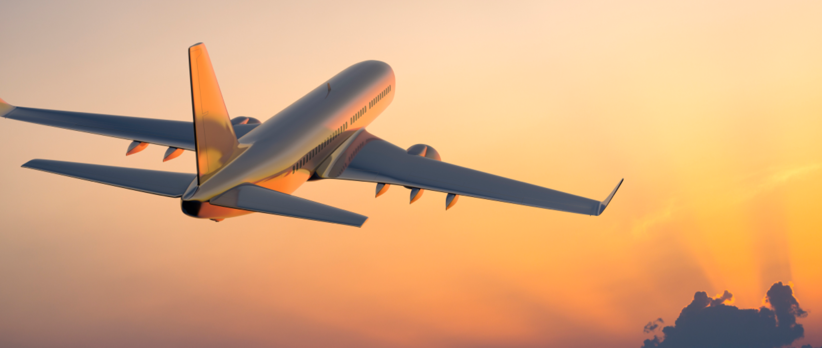 Aviation Law Lawyers