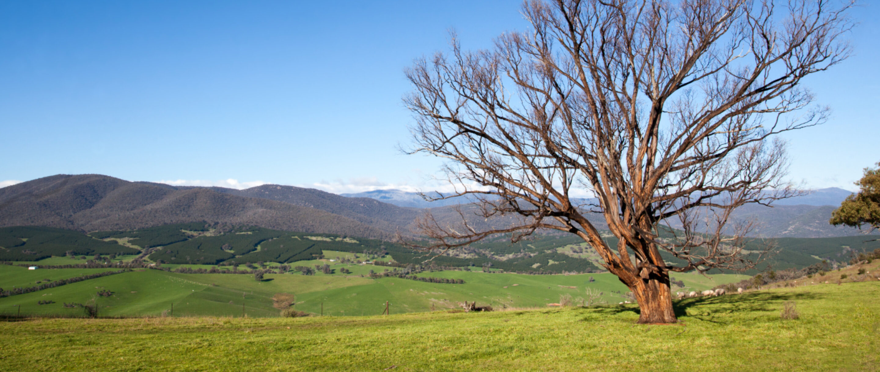 Personal Injury Lawyers Morwell